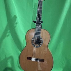 NEW Cordoba C9 CD/MH Nylon String Acoustic Classical Guitar - Cedar Top (CD/MH)