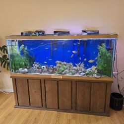 150 Gallon Aquarium Fish Tank