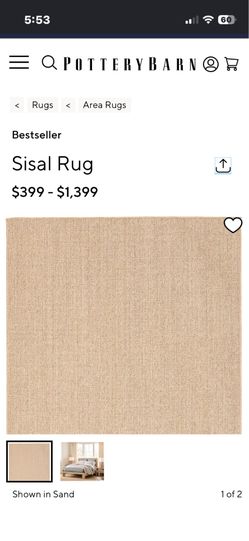 Pottery Barn 5x8 Sisal Rug