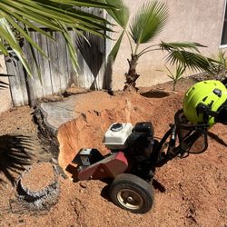 🦫Tree Trimming🪵Stump Grinding🦦