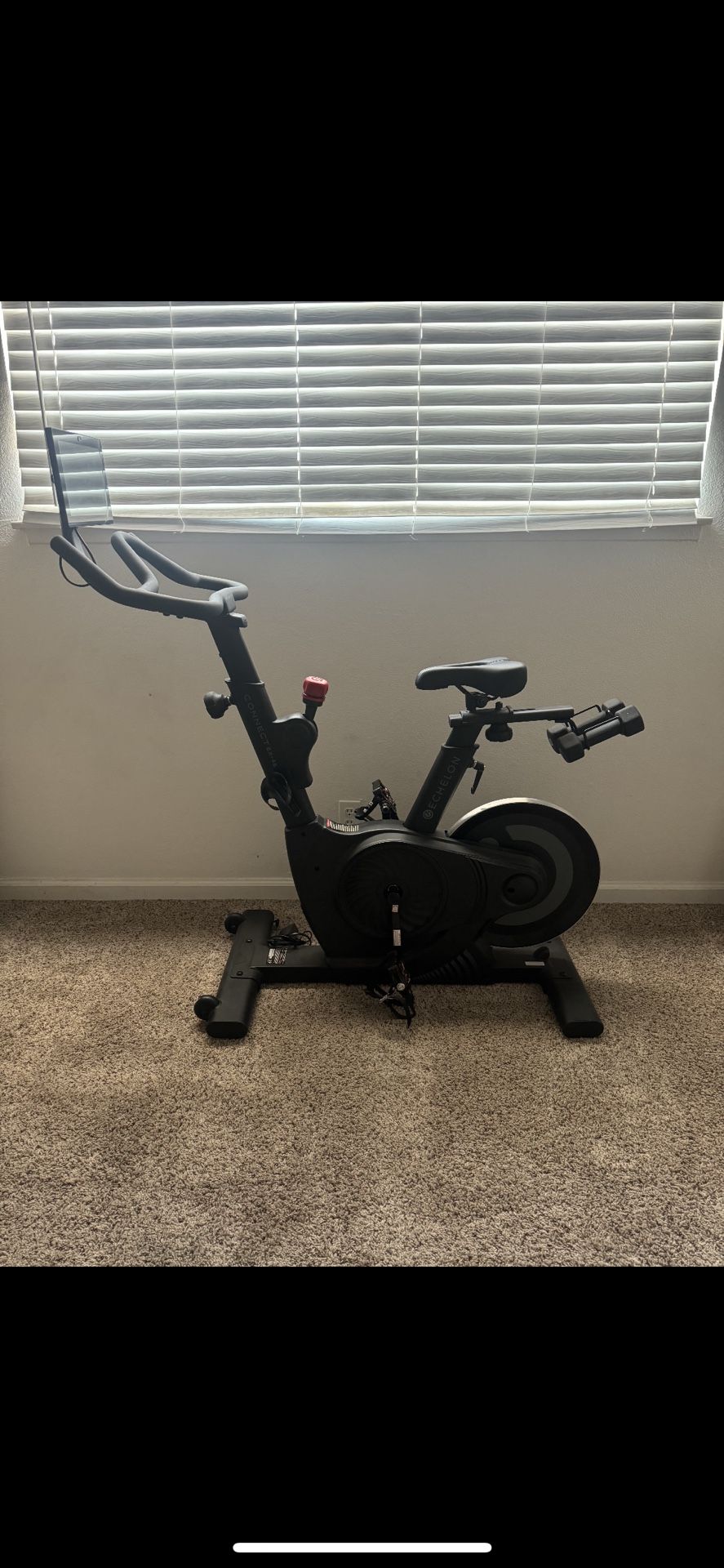 Peloton Style Bike (echelon) 