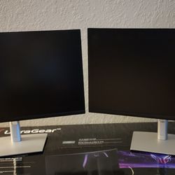 24" DELL