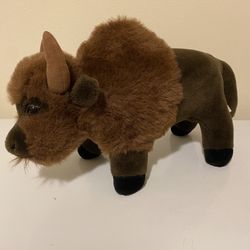 Buffalo.
