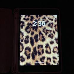 iPad Mini