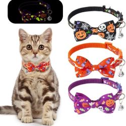 Halloween Cat Breakaway Adjustable Collar 3 Pack - Glow in The Night
