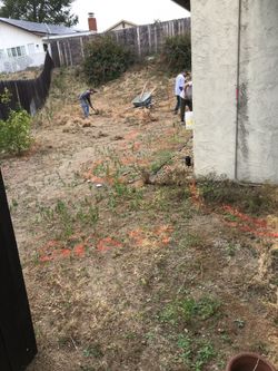 Clean fill delivered today