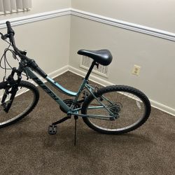 All Terrain Bicycle