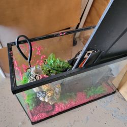 Fish Tank 10 Gallon