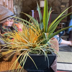 16”x9” Artificial Plant. Looks Real. 