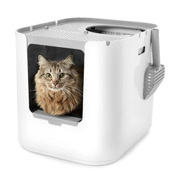 Large litter box