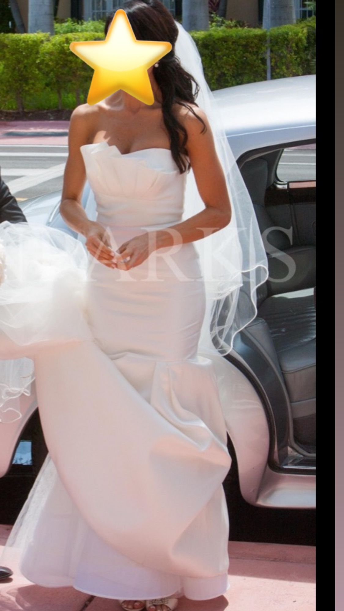Designer Wedding Dress And Veil. 