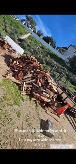 Firewood 4 Sale
