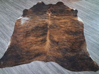 Bearskin rug