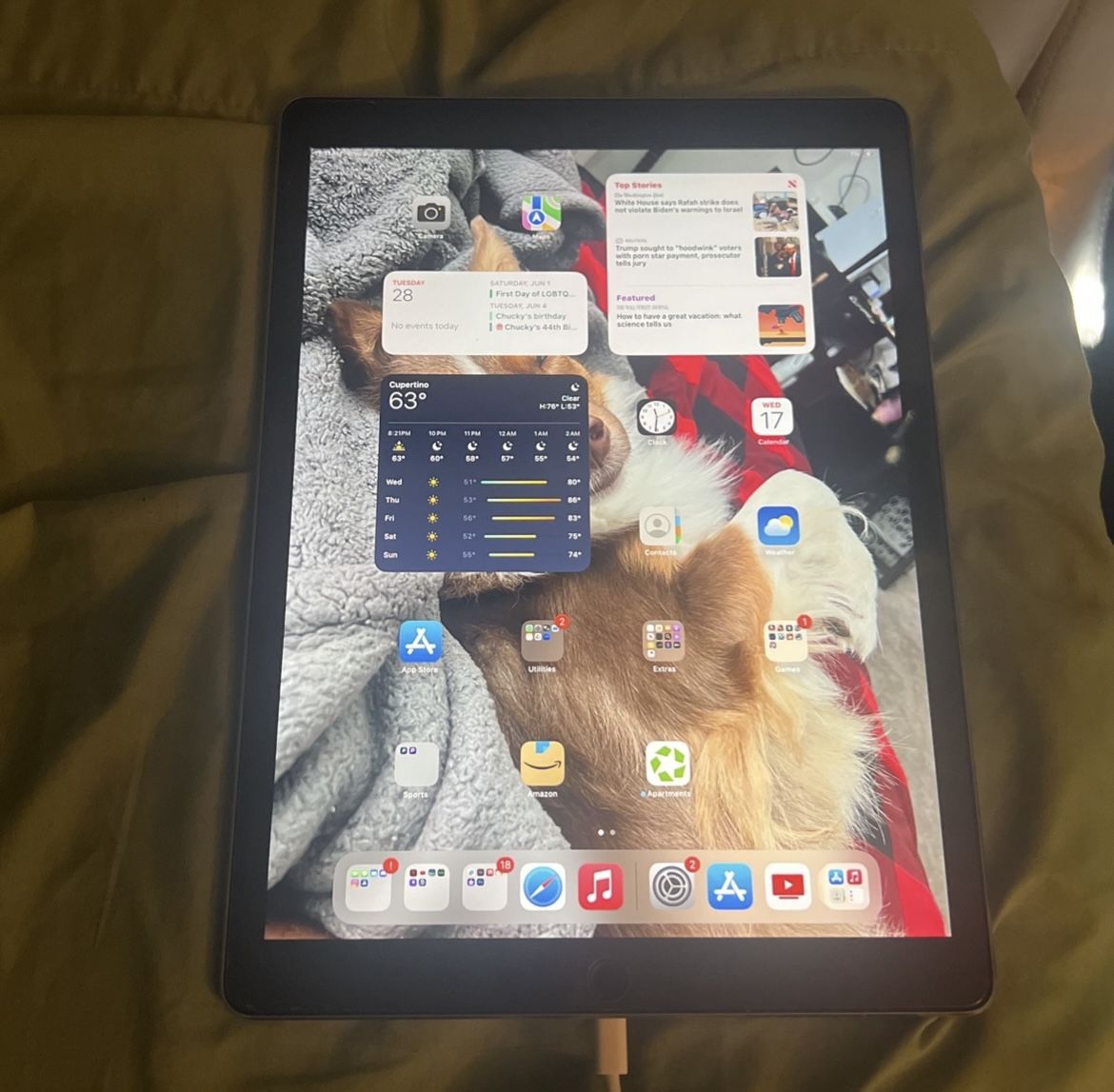 Apple iPad Pro (12.9 Inch) (2nd Generation)
