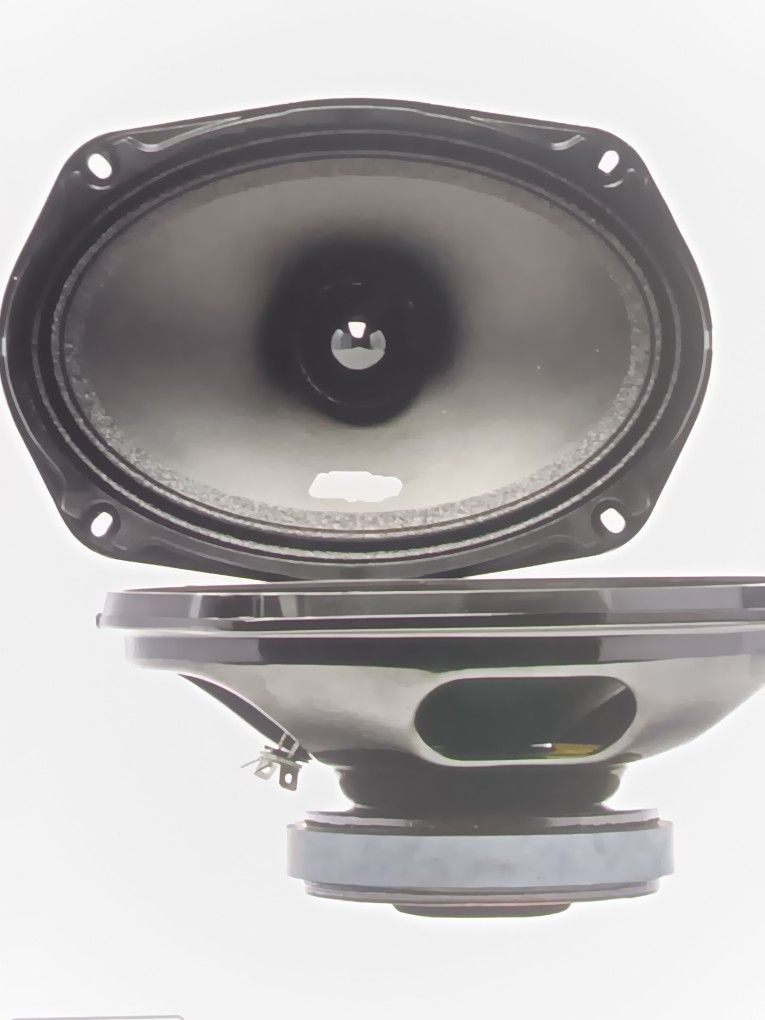New Pair Of Audio Legion 6x9s