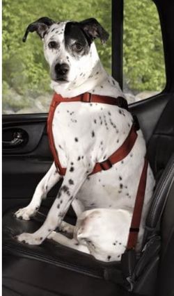 Car Harness Dog Safety Seat Belt Gear Travel System