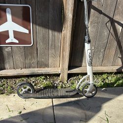 Adult Scooter 