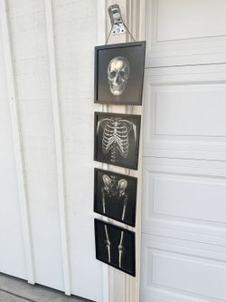 Halloween Decorations Hanging Skeleton X-Ray 4 Panel Set