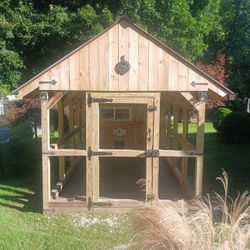 Chicken Coup 