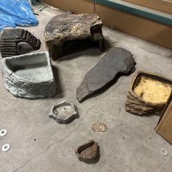 Lizard Terrarium 