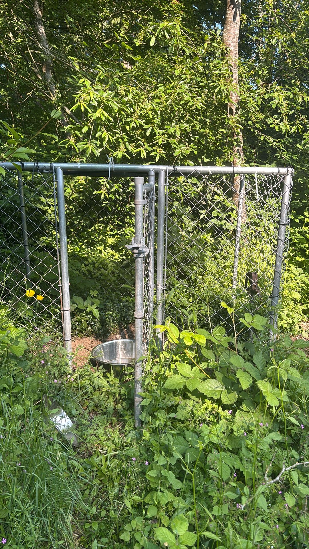 Dog Kennel