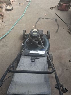 Briggs station mower