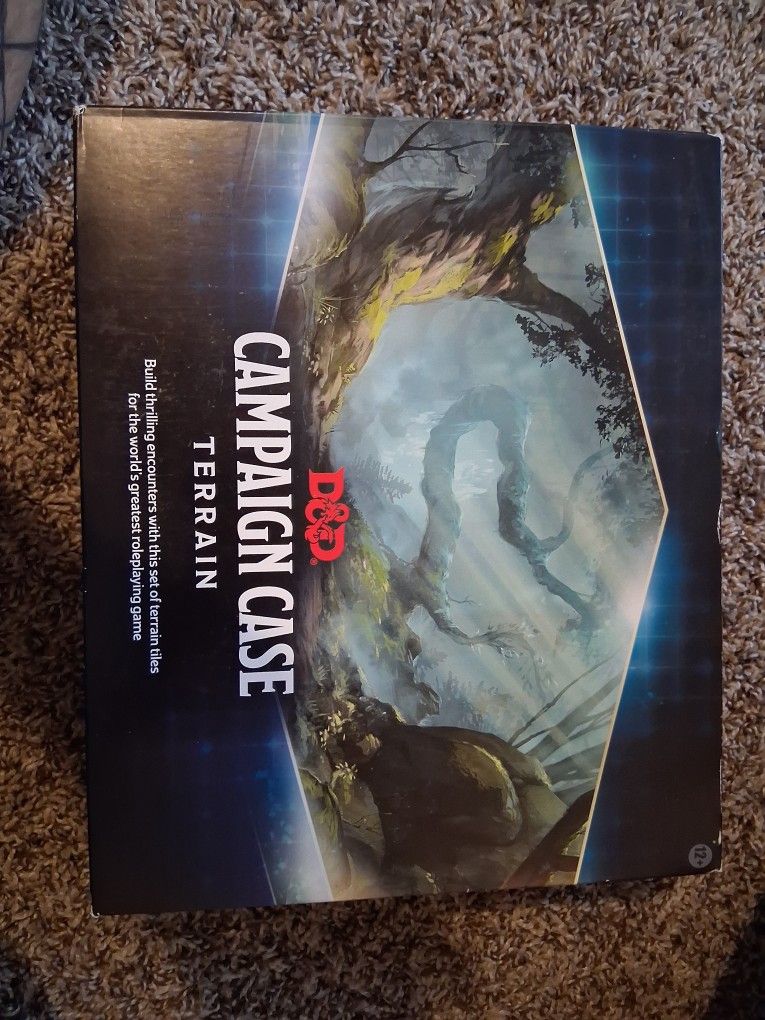 Dungeons & Dragons Campaign Case