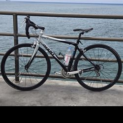 Giant Bike