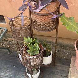 Plant Stand