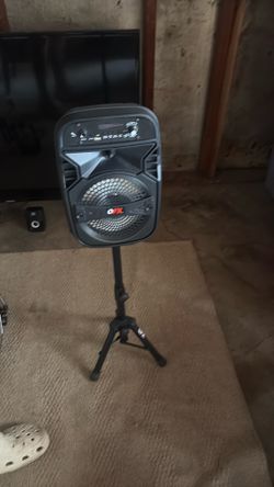 Mini speaker with microphone plug in