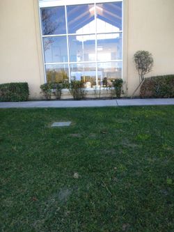Estoy Vendiendo 1 Lote En El Cementerio