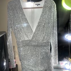 Silver Sequin Dress 