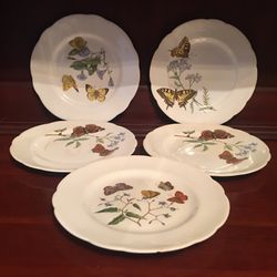 Vintage Queen’s Fine Bone China Plates Butterfly Floral Pattern Made In England
