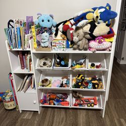 Toy/book Organizer 