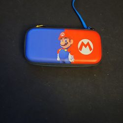 Switch mario brothers case