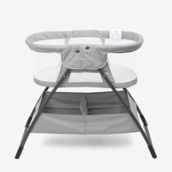 Baby Delight Beside Me Doze Bassinet