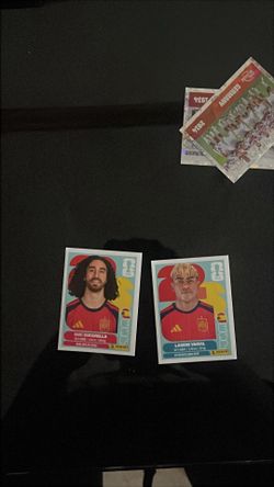 FIFA World Cup panini