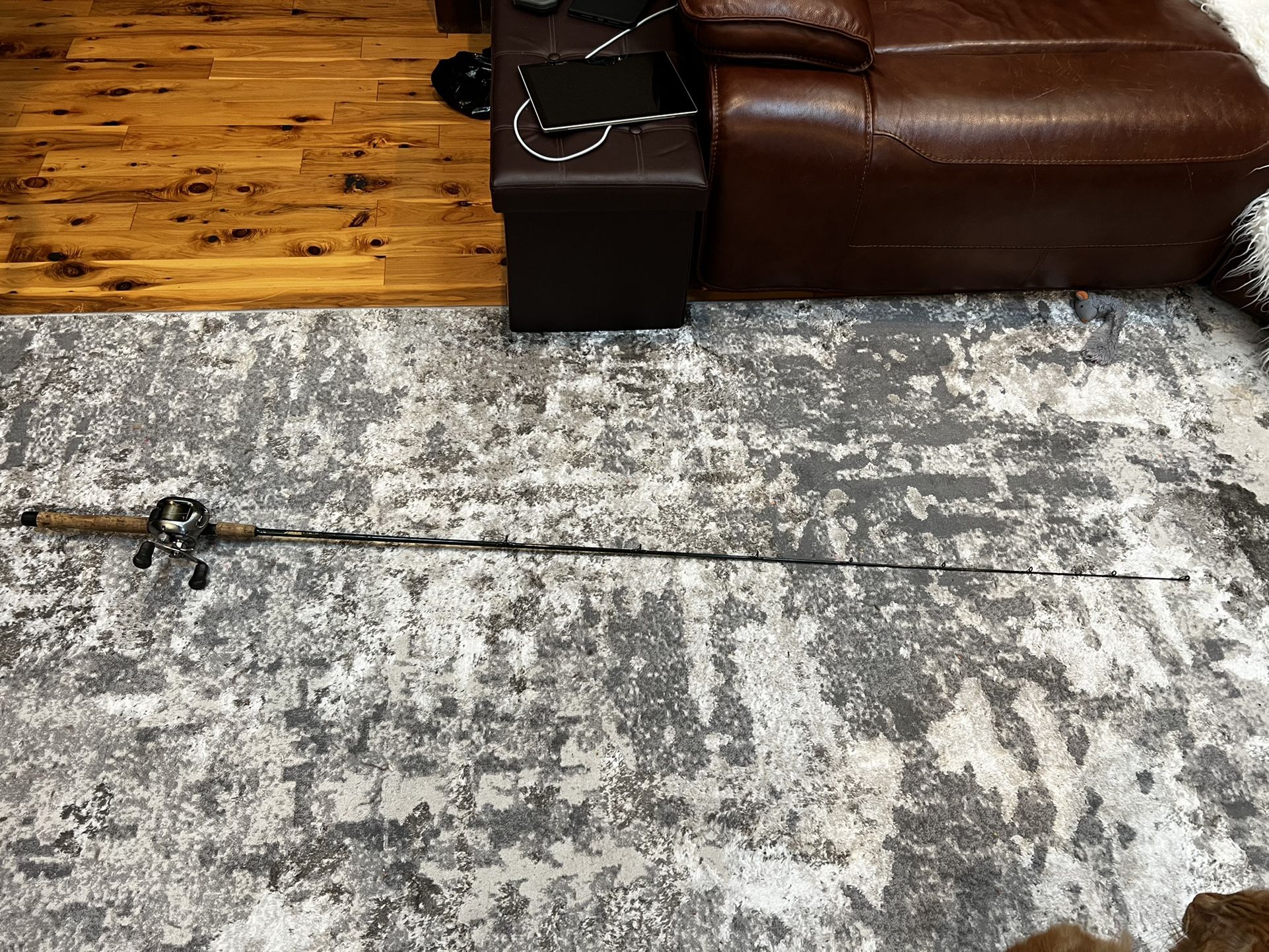 Lamiglas shimano curado