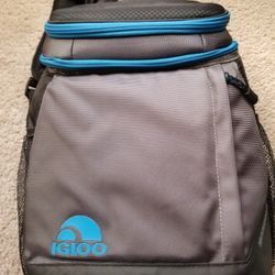 Igloo Cooler Backpack