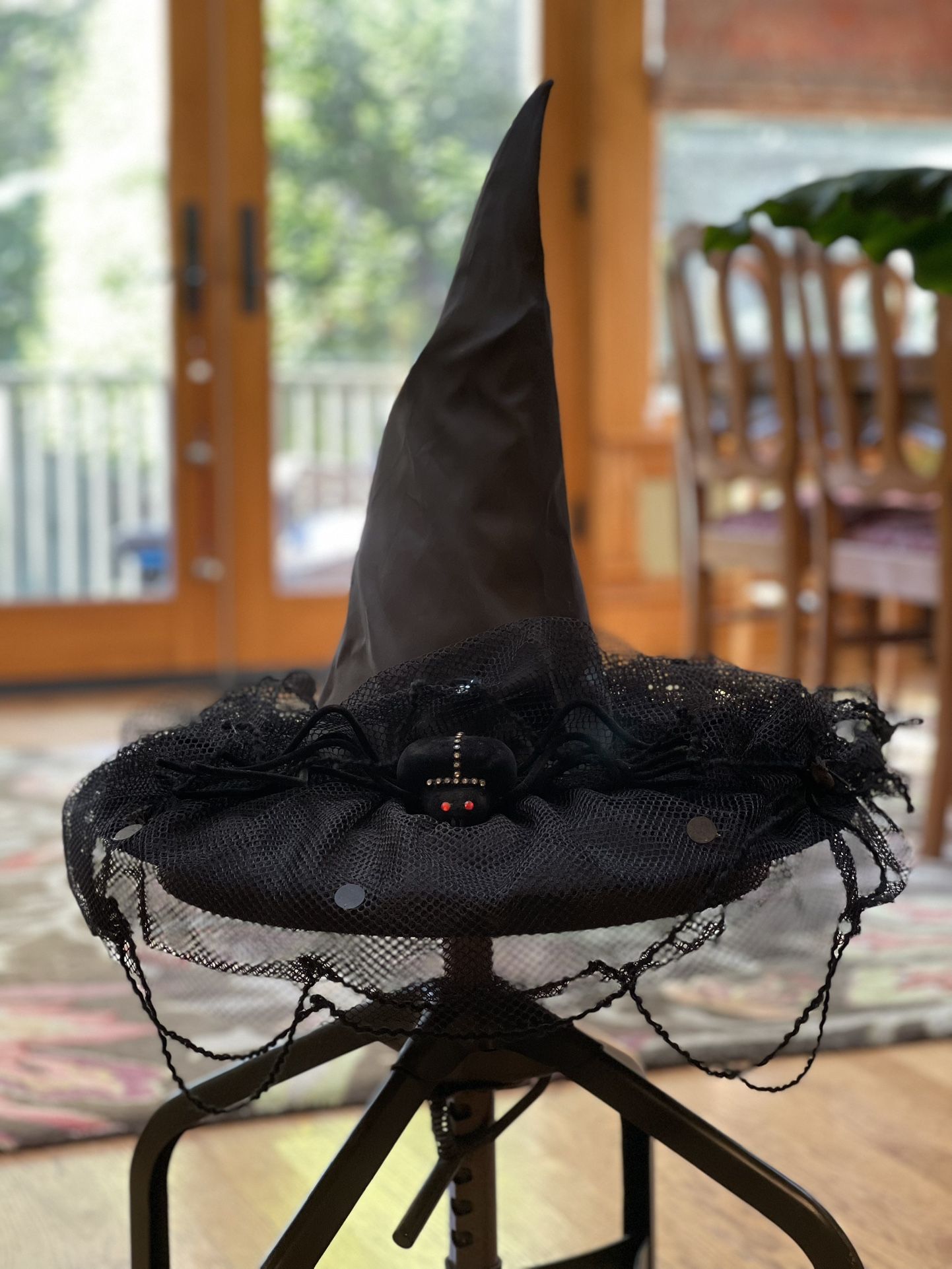 Witch Hat with Spider Web