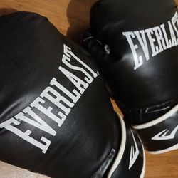 Everlast Boxing Gloves