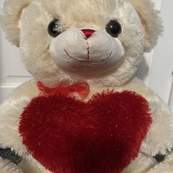 Teddy Bear 