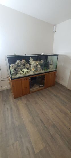 Fish tank 200 gallons