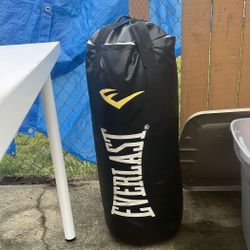 Everlast Punching Bag 