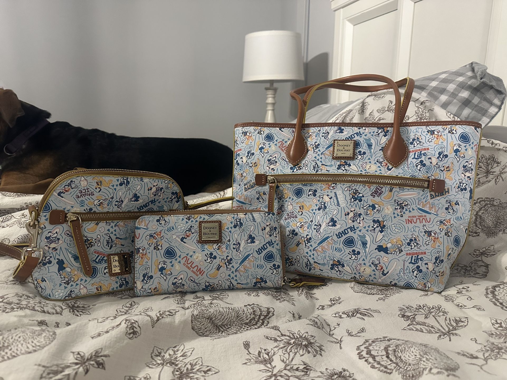 Disney Dooney And Bourke!