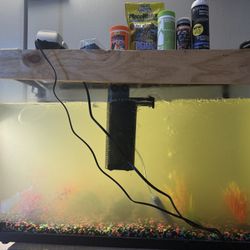 30 Gallon Fish Tank 