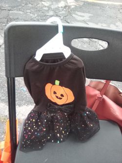 Halloween Pumpkin dog Dress