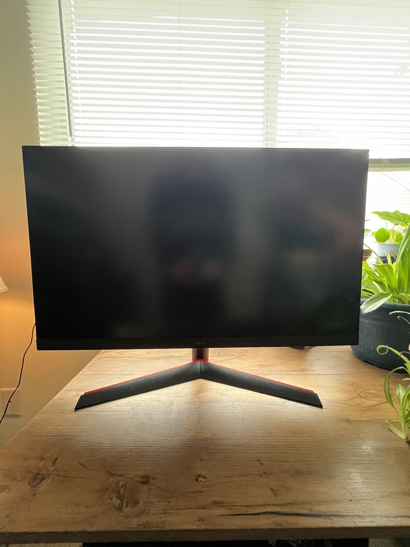 LG Performance Gaming Monitor