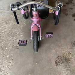 Schwann tricycle roadster bike