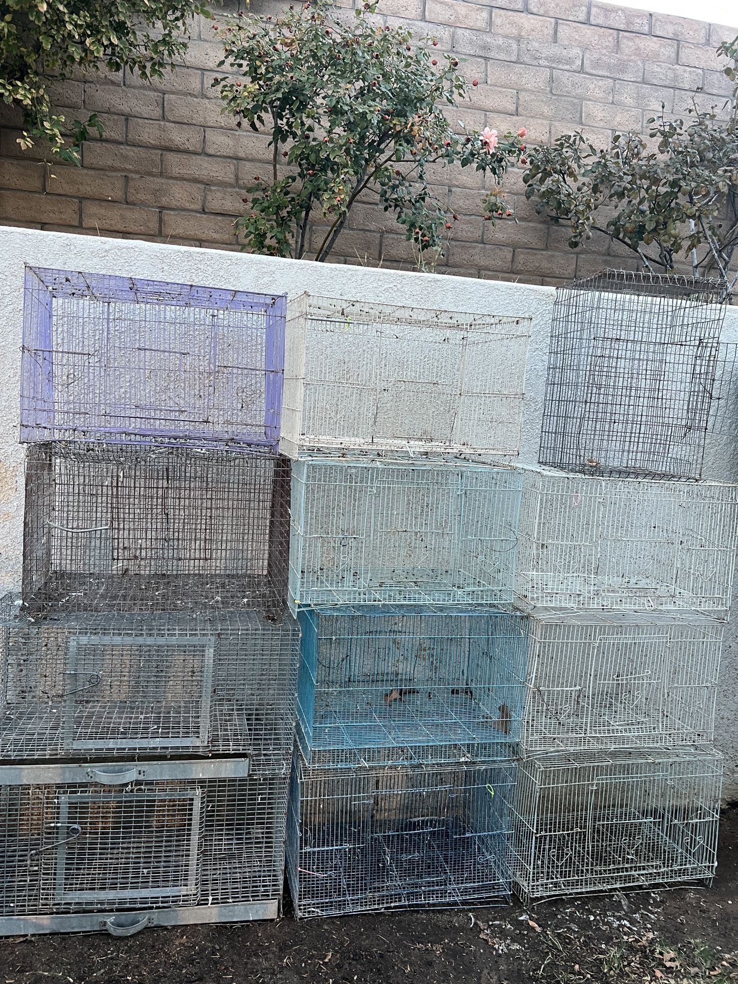 Multiple Types Of Rabbit And Birdcages